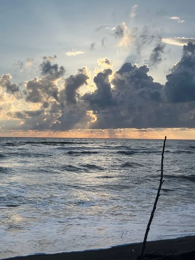 The image shows a scene divided into two distinct halves: the sky and the sea. The left side is dominated by a dramatic sky filled with dark, heavy clouds illuminated by sunlight peeking through, creating a sense of contrast between light and shadow. Streaks of golden light pierce through the clouds, suggesting a time near sunrise or sunset. The right side of the image depicts the sea, with choppy waves reflecting the sky's colors and light. A thin, dark branch extends horizontally across the water from the right edge of the frame, possibly a piece of driftwood or a fallen twig. The overall mood is one of natural beauty and perhaps a touch of melancholy, evoked by the dramatic interplay of light and dark. The image appears to capture a moment of dynamic weather over a coastal area.