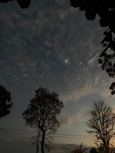 The image depicts an outdoor twilight scene in Parungserab, Indonesia. The sky occupies the majority of the frame, featuring a distinct crescent moon positioned slightly left of the upper center. The sky is largely covered by scattered altocumulus cloud formations, ranging from dense patches to more diffuse, wispy structures, with color transitioning from dark blue-gray overhead to lighter blue and faint orange tones towards the horizon. Silhouetted against the sky are several trees: a dense, leafy tree in the mid-left foreground and a tree with sparser branches on the lower right. Two thin, horizontal utility lines traverse the lower mid-section of the image, passing in front of the silhouetted trees. Partial dark silhouettes of overhead foliage or structures are visible framing the top and upper right edges of the scene. There are no human subjects, animals, or discernible activities present.