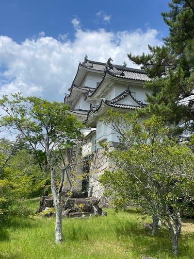 A medium shot captures a white Japanese castle with multiple tiered, dark-tiled roofs under a blue sky with scattered white clouds. The castle's stone foundation is visible, partially obscured by lush green grass and various trees, including a pine tree on the right. The castle's architecture is traditional, with ornate roof details and decorative figures at the corners. The scene is brightly lit, suggesting it is daytime, and the overall impression is one of historical grandeur set within a natural landscape. The image is likely taken from ground level, looking up at the castle. There are no people or animals visible in the frame. This is the Iga Ueno Castle in Iga, Japan.