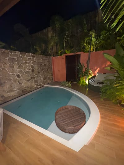 This image shows an outdoor jacuzzi area, possibly at night, in El Nido, Philippines. The jacuzzi has a blue interior and a white surround. A large, round, wicker basket is inside. Adjacent to the jacuzzi is a stone-paved area leading to a building with terracotta-colored walls and a dark brown window. Lush tropical plants surround the area. The floor near the jacuzzi is made of wooden-style planks.
