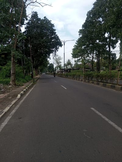 The scene is a multi-lane asphalt road in Chhenangri_Rishor, Bhutan, observed under an overcast sky. The dark grey road features white dashed lane markings. On the left, a concrete sidewalk abuts a black and white curb, beyond which lies an unkempt strip of green vegetation. The right side of the road is separated by a raised median with black and white curbing, containing rows of low, trimmed green shrubs. Tall, leafy deciduous trees line both sides of the roadway, with some bare branches visible against the sky on the upper left. Streetlights with dark poles are positioned along the road, one prominent central light exhibiting an ornate design. A black motorcycle is observed in the right lane, heading away from the viewer in the mid-distance. Further down the left lane, a white vehicle is partially visible, also receding. Distant architectural structures are intermittently discernible through the foliage. No pedestrians are observed.