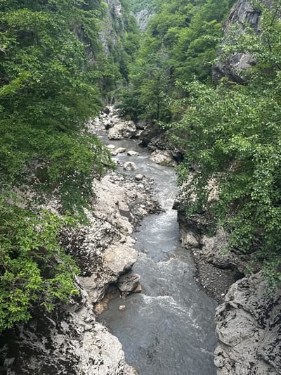The image depicts a view from above a narrow gorge with a river flowing through it. The river is a murky gray-brown color and appears to be flowing rapidly over rocks. The gorge walls are steep and covered in dense green foliage. Large, light-colored rocks are scattered along the riverbed and on the gorge slopes. The overall scene is natural and wild, suggesting a remote, mountainous location. The question asks to include the location in the city of Achara, Georgia. Achara is an autonomous republic in Georgia, and it is mountainous with gorges and rivers. This image is consistent with the landscape of Achara.