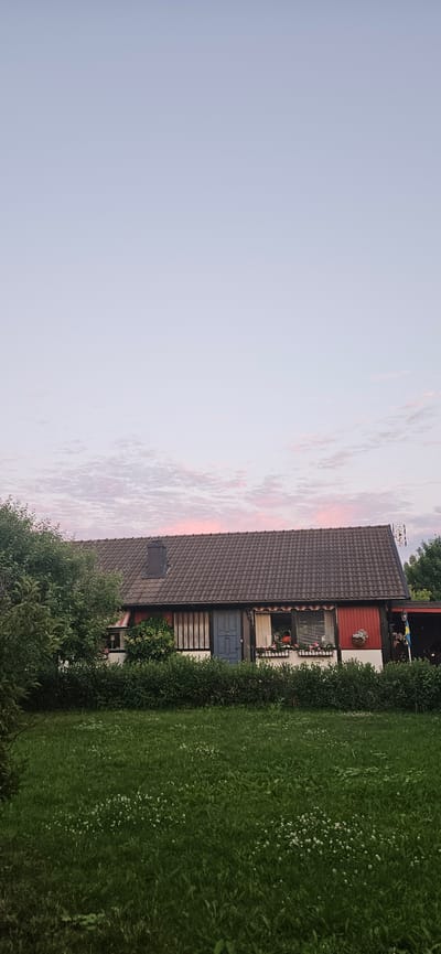 This is a vertical, eye-level, medium shot of a single-story house with a dark tiled roof and red and white siding, seen from a grassy lawn. The house has several windows with white frames and what appear to be blinds or curtains. One window has a blue door, and a Swedish flag is visible on the right side of the house. The house is bordered by a dense green hedge. A large tree is on the left side of the image, and more trees are visible behind the house. The sky is a light purple and pink, indicating it is either dawn or dusk. The lawn in front of the house is green and has small white flowers scattered throughout. The scene appears to be a residential area in Västerås, Sweden.