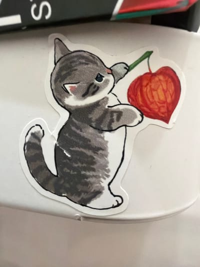 A sticker of a grey and white cat holding a red, heart-shaped fruit on a green stem is affixed to a white surface. The cat has black stripes and a black nose, with a small pink blush on its cheek. The background shows a blurry object with black and white text and a red and green design. The white surface appears to be the side of a container or appliance. The image is an indoor shot with no indication of the city of Syktyvkar, Russia.