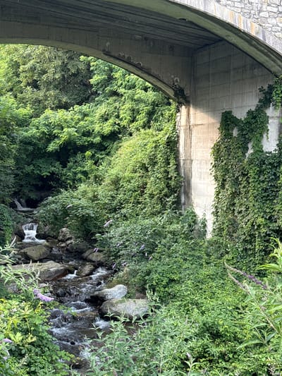 This media file shows a view from under a bridge, looking out at a stream flowing over rocks amidst lush greenery. The bridge appears to be made of concrete and stone. Vines and other foliage grow over and around the bridge's structure, suggesting a natural, possibly somewhat overgrown environment. The stream is visible in the lower right portion of the image, with water cascading over stones. Purple flowers are scattered amongst the green plants. The overall impression is one of a serene natural setting integrated with man-made infrastructure. The lighting suggests it is daytime. The location context is Cremia, Italy.