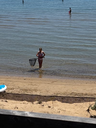 The image captures a peaceful daytime scene at a sandy beach, likely in Frankston, Australia. In the foreground, a young person, appearing to be a child or pre-teen, stands in shallow, clear water, facing away from the camera and slightly to the right. They are wearing a patterned swimsuit and holding a dark-framed fishing net with white mesh, suggesting they are exploring or playing in the water.

Further out in the calm, pale blue-green water, another individual is partially visible, appearing to be swimming or wading. The water shows gentle ripples across its surface, indicating a sheltered body of water like a bay.

To the right, the light-colored sandy beach extends, meeting the water's edge. A dark, grid-patterned mesh barrier or netting runs along the sand parallel to the waterline. The far right of the frame is bordered by a dark, textured structure, possibly a wooden pier or deck railing. In the bottom right corner, a blue and white flip-flop or sandal is partially visible.

The scene is brightly lit by natural sunlight, suggesting a clear, sunny day, likely midday or afternoon. The overall atmosphere is serene and recreational. No discernible text is visible in the image.