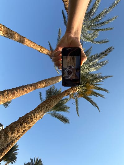 An upward-angled shot captures a person's arm and hand holding a black smartphone against a clear blue sky and several tall palm trees. The smartphone, held horizontally, displays an image of two individuals smiling and appearing to be posing for a photo. They are dressed in light-colored clothing, with one person wearing a headscarf, and are situated in a desert-like environment with what appears to be ancient pyramid structures in the background.

The scene itself is dominated by the strong, textured trunks of the palm trees, which rise diagonally from the bottom of the frame towards the top, their green fronds partially visible against the vibrant blue sky. The lighting suggests bright, clear daytime conditions. The hand holding the phone is positioned in the middle-left of the frame, partially obscuring one of the palm tree trunks. The image conveys a sense of leisure and travel, with the photo on the phone likely taken at a historical or notable landmark, such as the pyramids of Egypt, fitting the overall location context of Safaga, Egypt. No discernible text is visible in the image or on the phone screen.