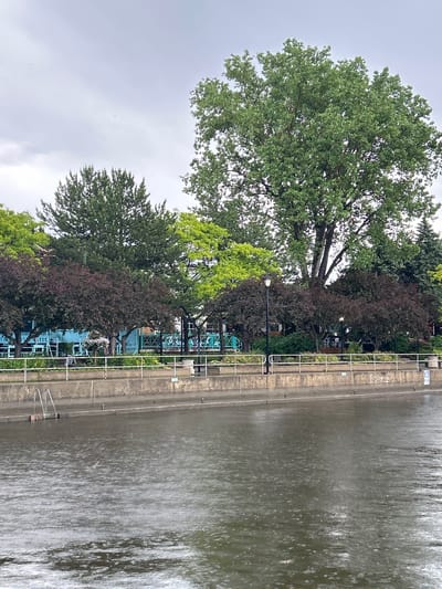 The image depicts a rainy day scene in Sainte-Anne-de-Bellevue, Canada. In the foreground, a body of water, likely the Ottawa River, is covered in ripples from the falling rain. A concrete embankment separates the water from the background. Behind the embankment, a park-like area is visible with lush green trees and some darker, reddish-leafed trees. A light-colored building with blue accents and outdoor seating is partially obscured by the foliage. A lamppost stands near the embankment. In the water, a set of metal steps leads down to the river, suggesting the area might be a public access point or a marina. The sky is overcast and gray.