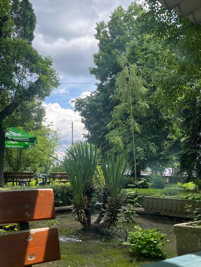The image depicts an outdoor seating area, likely part of a cafe or restaurant, in Zlatitsa, Bulgaria. In the foreground, a portion of a wooden bench is visible, with visible screws and a dark wood grain. Behind the bench, two large, spiky palm-like plants are prominent in a patch of dark soil. To the left, a green umbrella with white text in Cyrillic script ("от планината" and "ОХОТНИКО") is partially visible, suggesting a branding or sponsorship. Beyond the umbrella, wooden benches and plastic chairs are arranged around tables. The background is filled with lush green trees and foliage under a cloudy sky with patches of blue. A utility pole with wires is visible in the distance. The ground is a mix of dirt and patches of grass, with a concrete planter box in the mid-ground and another in the right foreground. The scene suggests a tranquil outdoor setting, possibly during daytime given the lighting.