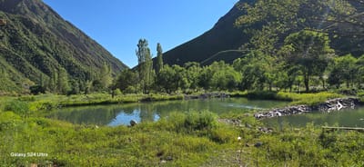 The image captures a serene natural landscape, likely in Almaluu, Kyrgyzstan, bathed in the bright sunlight of a clear day, suggesting it was taken mid-morning or early afternoon. The scene is dominated by lush green mountains that rise steeply on either side of a tranquil body of water, possibly a lake or a wide river. The slopes of the mountains are densely covered with trees, creating a rich texture of green.

In the foreground, a vibrant green grassy bank slopes down to the water's edge, dotted with various wild plants and some yellow wildflowers. The water itself is calm and reflects the blue sky and the surrounding greenery, with subtle ripples indicating a gentle movement. Along the far bank of the water, a dense line of trees forms a verdant backdrop, with taller, slender trees interspersed among the fuller canopies. In the middle of the water, a man-made structure, possibly a temporary dam or barrier made of dark material and rocks, is visible, creating a slight disturbance in the water flow.

The overall mood is one of peace and natural beauty. The clear blue sky and the abundant greenery evoke a sense of warmth and a pleasant day. There are no people visible in the main frame of the image, contributing to the feeling of a secluded and untouched natural setting. In the bottom left corner of the image, the text "Galaxy S24 Ultra" is subtly displayed, indicating the device used to capture the photograph.
