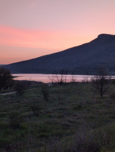 A landscape scene taken in Buhovtsi, Bulgaria, shows a body of water reflecting a pink and orange sky. The left side of the image features the silhouette of a dark mountain range. On the right side, there is land covered with grass and bare trees. A faint path or trail is visible through the grass.