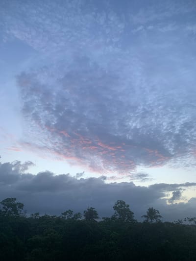 A panoramic view captures the dramatic twilight sky over the dense, dark green canopy of trees in Karandugoda, Sri Lanka. The sky is a gradient of soft blues and purples, with a prominent band of textured, mottled clouds stretching across the upper half of the frame. Scattered within these clouds are delicate streaks of pink, suggesting the last light of the setting sun. Below this ethereal display, a thick line of trees forms a dark silhouette against the fading light. The foliage is varied, with some trees appearing taller and more distinct, including a lone palm tree towards the right, while others blend into a uniform, shadowy mass. The overall impression is one of a serene, natural landscape at the cusp of nightfall.