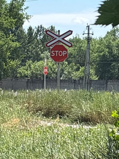 This is a photograph of a railroad crossing in Novocherkassk, Russia. The scene is dominated by lush green vegetation in the foreground, with a concrete barrier and trees forming the midground. In the background, a power pole with wires stands against a blue sky with scattered clouds.
The primary subjects of the image are two stop signs and a railroad crossing sign. The main stop sign, octagonal and red with white lettering, is prominently positioned in the center of the frame. Above it, a white railroad crossing sign with two red-bordered X shapes is mounted. To the left of the main stop sign, a smaller, octagonal red stop sign is visible, mounted on a pole.
The environment appears to be a rural or semi-rural area within Novocherkassk, characterized by abundant vegetation and infrastructure typical of a transportation corridor. There are no people or animals visible in the image. The overall impression is one of a clear, sunny day at a functional, but somewhat overgrown, railroad crossing.