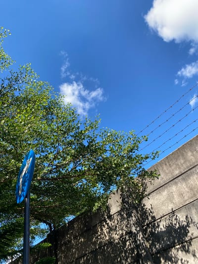 The image depicts an outdoor scene under a bright blue sky with scattered white clouds. In the foreground, a portion of a lush green tree with small leaves is visible on the left side, extending towards the upper center of the frame. A blue circular sign with a white "F" symbol is mounted on a dark pole, positioned in the lower left quadrant. To the right of the tree, a concrete wall runs diagonally from the lower right corner upwards, forming the right boundary of the image. Barbed wire is strung horizontally across the top right section of the image, layered above the concrete wall. The wall casts a dense shadow of the tree's foliage across its surface. The overall environment suggests a location in Gambut Barat, Indonesia.