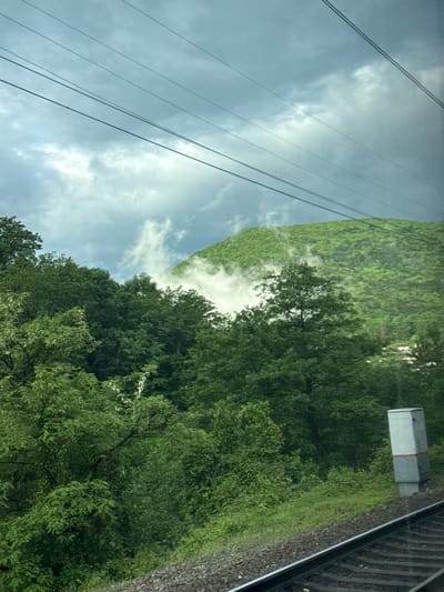 The image shows a view from a train, with the train tracks visible on the right edge. Lush green trees fill the right side of the frame, and beyond them, a green mountain is partially obscured by fog or low-lying clouds. Power lines extend diagonally across the upper left of the frame, against a cloudy sky. A grey, rectangular object is positioned among the trees near the train tracks. It is unknown if the location shown in this image is in or near the city of Kirpichnoye, Russia.