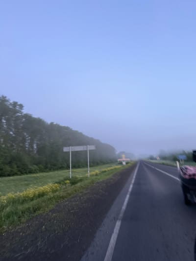 This is a vertical, eye-level, medium shot of a road on a foggy morning in Krapivinskiy, Russia. The road is paved and has a white line marking the lanes. There are trees on the left side of the road, and a field of yellow flowers. There is also a signpost on the left side of the road. In the distance, there are more trees and a signpost. The sky is a light blue color, and there is a slight haze in the air. A vehicle with a pink and white patterned load is partially visible in the right foreground.