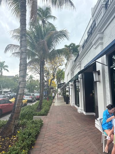 The image shows a commercial scene in Naples, Florida, United States of America. The photograph is taken on a brick-paved sidewalk lined with tropical landscaping featuring palm trees. Cars are parked along the street to the right of the sidewalk. Along the left, a multi-story building with white facade and dark awnings stretches into the distance. A person sits in a chair outside a storefront. Pedestrians can be seen walking further down the sidewalk. The sky is overcast.