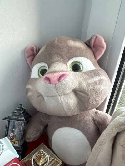 A close-up, sideways shot shows a light brown plush cat toy with large, green eyes and pink ears. The toy is resting on a white surface, possibly a windowsill, next to a window with a slightly blurred view of greenery outside. The setting suggests a domestic environment. To the right of the cat toy are some decorative items, including a small, dark lantern with a Christmas scene visible inside, featuring Santa Claus and a reindeer, and a metallic gold lantern with a ring handle. A white and red object, possibly another lantern, is also partially visible. The lighting is bright, indicating daytime. There is no discernible text in the image. The plush toy's expression is neutral, and the overall scene is still, with no activity taking place. The location context provided is Zelenodol'sk, Russia.