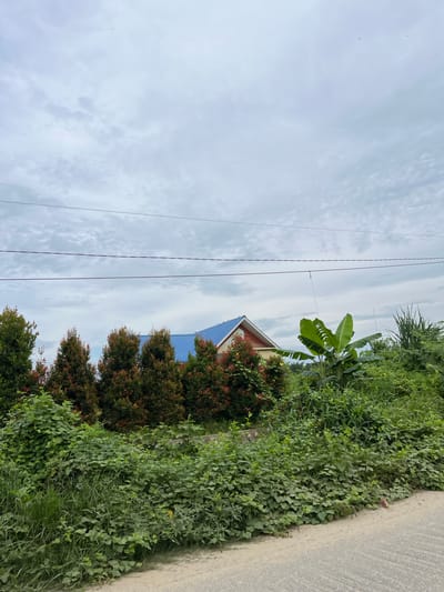 An overcast sky dominates the upper portion of the image, with thin, horizontal power lines crisscrossing the frame. Below the sky, a residential building with a blue tiled roof is partially visible, nestled behind a row of dense, manicured trees that display red and green foliage. To the right of the house and trees, a large banana plant stands tall amidst lush green vegetation. The foreground is a mix of overgrown plants and a dirt path or road. The scene appears to be in a semi-rural or suburban area, with the abundance of greenery suggesting a location in a tropical or subtropical region, possibly within Bundar, Indonesia, where such vegetation is common. There are no visible people or animals in the image.