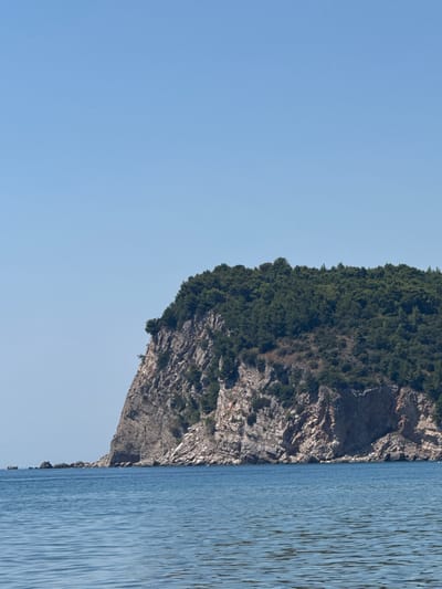 A rocky, tree-covered cliff rises from the Adriatic Sea near Đurovići, Montenegro. The cliff face is rugged and textured, with visible layers of rock. A dense green forest covers the top of the cliff, with dark green trees creating a thick canopy. The sea is a calm, clear blue, with gentle ripples reflecting the clear, light blue sky. A small boat with a red canopy is visible in the distance near the base of the cliff. The overall scene is serene and natural, showcasing the coastal landscape.