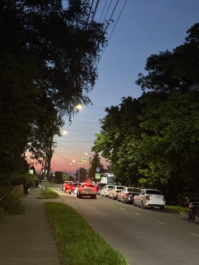 The image depicts a street scene in Vladikavkaz, Russia, during twilight. A line of cars is parked or waiting along the side of a road, with their brake lights illuminated, suggesting a pause or slow movement. The sky transitions from a deep blue at the top to soft pinks and oranges near the horizon, indicating either sunrise or sunset.

Several trees with dense foliage line the left side of the road and extend into the foreground, casting shadows. Power lines are visible crisscrossing the sky, supported by poles. Road signs, including what appear to be pedestrian crossing warnings with yellow diamond shapes and blue directional arrows, are present along the roadside.

The road itself is paved, with a grassy verge bordering the sidewalk on the right. A simple wooden bench is situated on the sidewalk in the lower left portion of the frame, near some bushes. The overall mood is tranquil, with the soft light of twilight creating a calm atmosphere. The presence of multiple cars and power lines suggests an urban or suburban setting. No people are clearly visible in the image. The image is oriented vertically, as if taken with a phone held in portrait mode, and then rotated 90 degrees counter-clockwise.