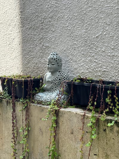 A ceramic Buddha statue with circular perforations sits on a black ledge, intertwined with vines and greenery. The background is textured; a wall with a rough, white plaster finish is on the left, while a grey stone-like surface with horizontal lines is on the right. The scene is outdoors, with the composition focused on the statue and its immediate surroundings. Based on the location metadata, this scene is in Jimbaran, Indonesia.
