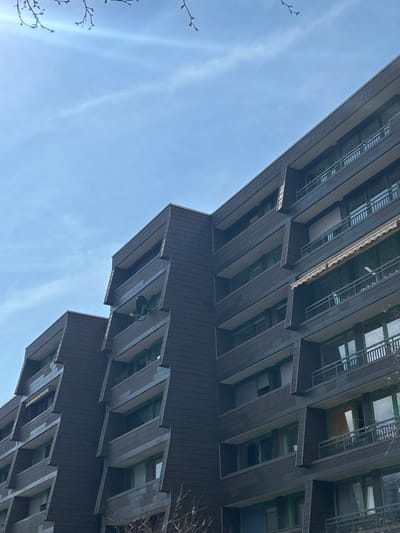 This image depicts a multi-story residential building, consistent with the architectural style found in the Boxberg or Emmertsgrund districts of Heidelberg, Germany. The building features a dark brown or charcoal-colored paneled facade and numerous angled or trapezoidal balconies spanning multiple levels. Many balcony windows and doors are framed in green. Dark metal railings are present on the balconies. A black satellite dish is mounted on an upper-mid level balcony on the left section of the building. A light-colored retractable awning is extended over a lower-mid level balcony on the right side. Through a window on a lower balcony on the far right, a yellow curtain or fabric is visible. The scene is illuminated by bright daylight, with a clear blue sky exhibiting a faint wispy cloud and sun lens flare in the upper left. Bare tree branches with small buds are visible in the upper left foreground and out-of-focus darker branches are present at the bottom of the frame. No individuals, actions, or interactions are depicted.