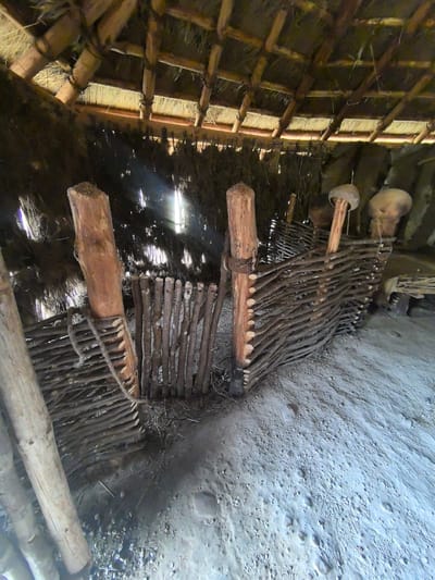 Inside a rustic structure with a thatched roof supported by wooden beams, a woven fence made of branches separates two areas. The fence is constructed with vertical posts and horizontal branches interlaced. To the left of the fence, a thick wooden log stands upright, bound to the fence with rope. The ground appears to be dirt and debris. In the background, light streams in from an unseen opening, illuminating hanging materials and what might be decorative objects resembling mushrooms on wooden stakes. The scene evokes a historical or reconstructed dwelling, possibly in an open-air museum or historical site within the Камянюцкі сельскі Савет, Belarus.