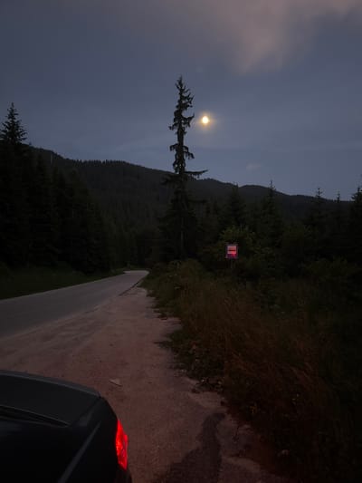 The image depicts a twilight scene on a rural road in Stoikite, Bulgaria. A paved road curves to the left, bordered by a gravel shoulder and dense coniferous forest. In the foreground, the rear of a dark-colored car is visible on the right side of the road, with its red taillight illuminated. The sky is a deep twilight blue with a faint moon visible in the upper right quadrant. A tall, slender evergreen tree stands prominently in the middle ground, to the left of a roadside sign. The sign, square with a white border, displays a red illuminated symbol, possibly indicating a bus stop. The forest stretches across the background, with rolling hills creating a layered effect. The overall atmosphere is quiet and secluded, characteristic of a mountain village at dusk.