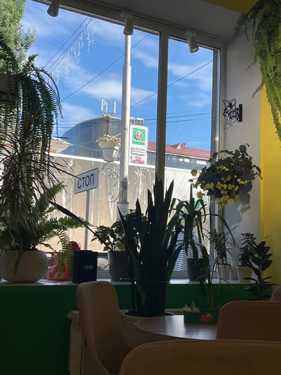The image shows the interior of a cafe with a large window overlooking a city street in Oktyabrsky, Russia. The cafe features an abundance of indoor plants, including ferns, snake plants, and a hanging plant with yellow flowers, arranged on a windowsill and in pots on the floor. A digital clock on the windowsill displays "10:05". Outside the window, a street sign with the word "СТОП" (STOP) is visible, along with a building with a modern glass facade and a red-tiled roof. The sky is blue with scattered clouds. The cafe has a yellow and green color scheme, and two beige chairs are partially visible in the foreground.