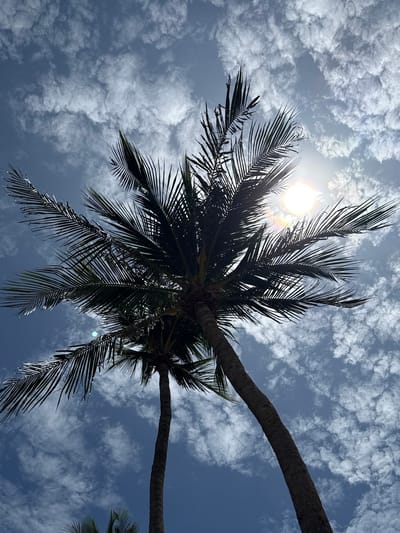 Two tall palm trees are silhouetted against a bright blue sky filled with scattered white clouds. The sun is visible as a bright, blown-out disc with lens flare, partially obscured by the fronds of the larger palm tree on the right. The fronds of both trees are dark green and fanned out against the sky. The trunks of the trees are rough and textured. The image appears to be taken from a low angle, looking upwards. The scene suggests a tropical location, such as the beachside of Ban Ao Nang, Thailand, characterized by clear skies and lush vegetation.