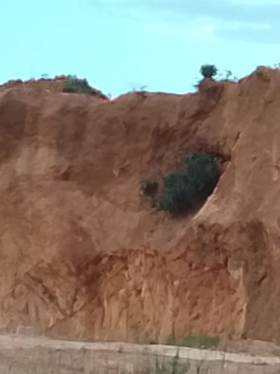 This is a medium-angle shot of a barren, reddish-brown cliff face with sparse vegetation. The cliff shows signs of erosion and stratification, with distinct layers visible. At the top of the cliff, several small trees and shrubs are scattered. In the middle of the cliff face, a larger patch of dark green vegetation is growing. The foreground of the image shows a lighter-colored, possibly dusty or sandy ground with some linear elements that could be debris or vegetation. The sky above is a pale blue with some hazy clouds. The scene appears to be an outdoor, natural environment, possibly a quarry or a natural geological formation. The location in Barakin Acha, Nigeria, suggests a rural or semi-rural setting within the country.