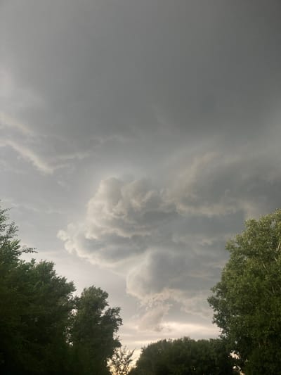The image shows a dramatic, overcast sky filled with dark, turbulent clouds, suggesting an impending storm. In the foreground, the tops of lush green trees are visible along the bottom edge of the frame, with their branches reaching upwards towards the ominous sky. The lighting is dim and diffused due to the heavy cloud cover. The scene is set in the city of Rakity, Russia.
