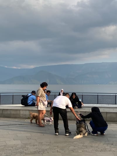 The image depicts a scene at the city of Pasar Pangururan, Indonesia, with a group of people and dogs in the foreground. The background features a wide expanse of water, likely a lake, bordered by rolling hills and mountains under a cloudy sky. In the foreground, on a paved walkway, a woman in a light-colored t-shirt and white shorts, wearing flip-flops, is standing and looking down. She is accompanied by two small dogs, one a tan poodle-like breed and the other a white dog wearing a light purple garment. To her left, a man in a blue shirt and a black hat is seated with a large black backpack beside him.

Further to the right, a man in a white t-shirt and black pants is interacting with a husky-type dog, reaching out to pet its head. A person wearing a black hijab and blue pants is crouching beside the husky, also interacting with the dog. Behind them, a woman in a black jacket and hijab is sitting on a raised ledge, looking towards the water. Other individuals are visible in the mid-ground, some seated on the ledge. A black metal railing runs along the edge of the walkway overlooking the water. The overall atmosphere suggests a casual gathering or outing in a scenic, waterside location.