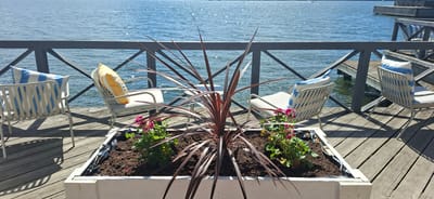 A waterfront patio in Lahti, Finland, features an outdoor seating area with white metal chairs adorned with blue and white striped and yellow striped pillows. In the foreground, a rectangular white planter box holds dark soil and a sparse planting of red-leafed plants and small pink flowers. The patio is constructed of weathered wooden planks, and a dark wooden railing with diagonal supports separates the patio from the shimmering blue water. The water is calm, reflecting the bright sunlight. In the background, more wooden structures, possibly docks or piers, extend into the water. The scene is set on a clear, sunny day, suggesting a pleasant outdoor atmosphere.