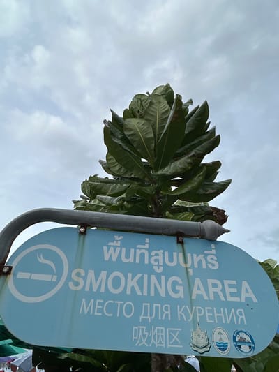 This media file shows a blue sign indicating a smoking area, oriented vertically. The sign is attached to a metal post and is partially obscured by lush green leaves from a tree. The sky above is overcast and cloudy, suggesting it might be daytime, possibly during or after rain.
The sign features a universal "no smoking" symbol within a circle, but it's modified to indicate a designated smoking area. Text on the sign is in multiple languages. English text reads "SMOKING AREA". There are also characters that appear to be Thai script at the top, Russian script reading "для курения" (for smoking), and Chinese characters at the bottom that also indicate a smoking area. Several circular logos or stickers are present on the sign, one of which includes a depiction of marine life and possibly text in Thai. The overall setting appears to be outdoors, likely in a public space given the presence of official signage. There are no people visible in the frame. The environment seems tropical due to the foliage and the context of Tambon Phru Nai, Thailand. The weather appears to be humid and the sky is a uniform grey.