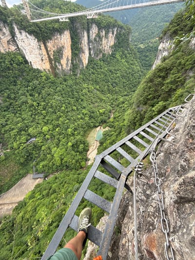 The image presents a high-angle view from a precarious position, likely on a mountain or cliff face in Zhangjiajie, China. A metal ladder, seemingly affixed to the rock face with metal chains and cables, dominates the foreground. The ladder leads down into a vast, green valley densely covered with lush trees and vegetation.
In the lower portion of the image, what appears to be a dam or retaining wall is visible, and further up the valley, a small body of water is noticeable. In the distance, a large, modern suspension bridge stretches across the landscape, connected to the rocky cliffs.
A person's leg, clad in green shorts, is stepping onto one of the ladder rungs. A hiking shoe can be seen, suggesting a recreational activity such as climbing or hiking in this mountainous environment. The scene conveys a sense of height, danger, and a potentially exhilarating experience.