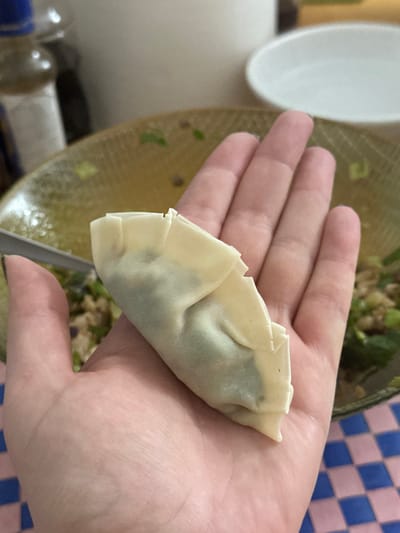 The image captures a person's hand holding a single, freshly-made dumpling, likely in the process of preparation. The dumpling is light-colored with a crimped or pleated edge, indicative of styles like gyoza or potstickers. Its translucent wrapper reveals a dark filling, possibly a mix of meat and green vegetables. The hand is positioned centrally, holding the dumpling horizontally across the palm and fingers.

In the blurred background, several elements suggest a kitchen or cooking environment. To the left, part of a white bowl or dish is visible. Below the hand, a clear, shallow plate or bowl contains remnants of food, appearing to be spilled filling ingredients or cooking liquid with small green and brown particles. Further back and to the right, a blue and pink checkered pattern is discernible, possibly a tablecloth or fabric. Other indistinct kitchen items, such as bottles or jars, can be vaguely seen in the lower left background.

The activity depicted is the crafting or handling of a dumpling, suggesting a culinary endeavor. No specific time of day is discernible, as the scene is indoors with ambient lighting. There is no visible text in the image. This domestic scene takes place in Egkomi Lefkosias, Cyprus.