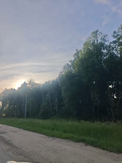 This is a landscape photograph taken on a dirt road in "Медик Снт", Russia. The scene depicts a dirt road in the foreground, leading towards a dense line of trees on the right side of the frame. The trees are tall and lush green, forming a thick forest that stretches across the background. Sunlight is breaking through the trees on the left side of the image, creating a bright, hazy effect and casting a warm glow. The sky above is a pale blue with streaks of white clouds, suggesting it is either early morning or late afternoon. The overall impression is one of a serene, natural setting, possibly during a summer day in the Russian countryside. There is no text visible in the image.