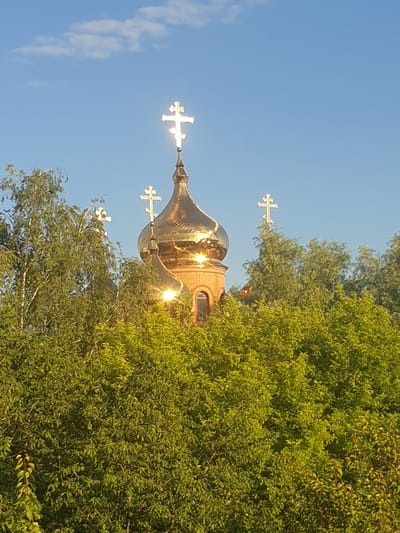 The image shows a golden dome of an Orthodox church with a cross on top, emerging from lush green trees. The dome is highly reflective, catching the sunlight. There are also smaller domes with crosses visible behind the main dome and through the foliage. The sky is a clear blue with a few wispy clouds. The trees are dense and leafy, obscuring the lower parts of the church. The scene appears to be a sunny day. The image is a close-up view of the upper portion of the church and surrounding trees, suggesting it was taken from a nearby elevated position or through a gap in the trees. The church is likely located in Obukhiv, Ukraine, given the context of the request. There are no people visible in the image.