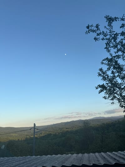 A low-angle shot of a landscape in Boltata, Bulgaria, at dawn or dusk. The sky is predominantly clear blue, with a small sliver of a moon visible. Tree branches are silhouetted in the upper left corner. A mountain range covered in trees is on the right horizon, fading to a lighter color near the ground. A utility pole with wires runs through the landscape. A corrugated metal roof or wall is visible on the extreme right.