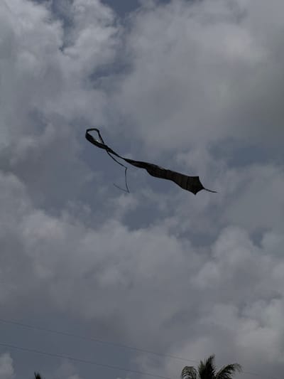 A dark, kite-shaped object with a long tail is flying in a cloudy sky. The kite appears to be made of dark fabric and is angled to the right, with its tail trailing behind it. The sky is filled with gray and white clouds. In the foreground, at the bottom of the image, the fronds of a palm tree are visible, and two thin, dark power lines stretch horizontally across the frame. The scene is captured from below, looking up at the sky. This image was taken in Pilana, Sri Lanka.