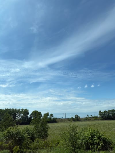 The image depicts a vast, open sky with scattered wispy clouds in a light blue hue. Below the sky, a treeline of deciduous trees forms a dense barrier across the horizon. Beyond the trees, a flat, grassy field stretches towards the distance, with the faint outlines of what appear to be power lines and possibly railroad tracks visible further back. The foreground is dominated by lush green foliage, suggesting a rural or semi-rural setting. The overall impression is one of a clear day with a gentle breeze, typical of the natural landscapes found in and around the city of Aur, Russia.