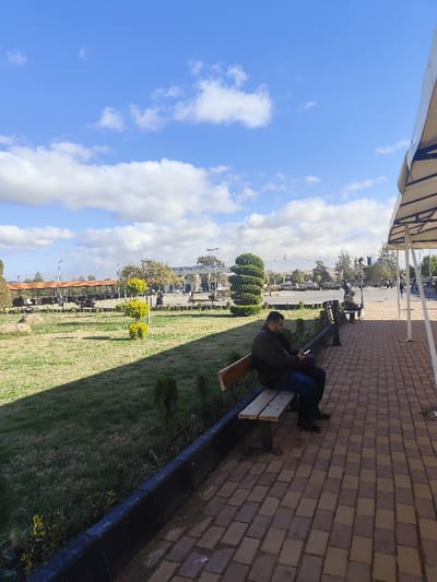 The image captures a public park area in Jibb as-Safa, Syria, under a clear blue sky with scattered white clouds. In the foreground, a male individual with short dark hair and a beard, wearing a dark olive jacket, blue jeans, and dark shoes, is seated on a light-colored wooden bench with dark metal supports. He is looking down at a white mobile phone held in both hands. The bench is situated on a paved walkway constructed from interlocked light and dark brown rectangular bricks. To the left of the walkway, a dark concrete curb separates it from a manicured grassy lawn, which is largely covered by a pronounced shadow extending from the bottom left. In the midground and background, the park features various trees with some yellowing foliage, green shrubs, and a distinctive tall, spiraling topiary. Several dark-colored streetlights are visible throughout the park. In the far background, a road or parking area is present with distant vehicles and a multi-columned structure with an overhead canopy, possibly part of a building or a sheltered entrance. Other individuals are discernible in the distance, walking or seated on additional benches. A white structural beam and a section of a white canopy are visible along the far right edge of the frame, partially shading the walkway.