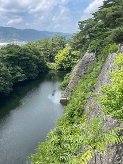 The image captures a serene natural landscape overlooking a moat with a steep, stone-lined embankment covered in lush greenery. The embankment, constructed of rough-hewn stones, rises dramatically from the dark, reflective water, creating a sense of historical fortification. Dense trees with vibrant green foliage frame the scene, with taller pine trees on the right and a variety of deciduous trees on the left. In the background, hazy mountains rise against a partially cloudy sky, with a hint of urban development visible in the distance. This scene is characteristic of the grounds surrounding Iga Ueno Castle in Iga, Japan, known for its impressive stone walls and moats. There are no people or animals visible in the image, and the focus is entirely on the natural and architectural elements of the environment.