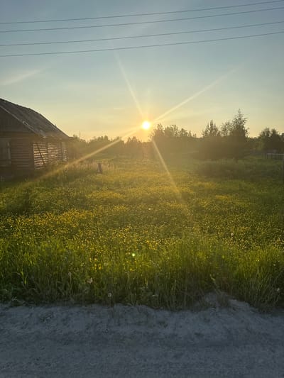 The image depicts a rustic scene at sunset in the village of Izyayu, Russia. The foreground shows a rough, unpaved path. Behind the path, a field is covered with lush green grass and numerous small yellow wildflowers. A dilapidated wooden structure, appearing to be an old house or barn, stands on the left side of the image. The sun is low on the horizon, casting a warm, golden light and creating sun flares that radiate outwards. Silhouetted trees and vegetation form a natural border across the middle ground. Overhead, power lines are visible against a pale blue and yellow sky. The overall impression is one of rural tranquility and the beauty of a natural sunset.