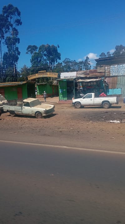 The image captures a sunny daytime scene of a roadside commercial area, likely in a rural or semi-urban setting. The foreground consists of a dusty, unpaved road surface, with a faint darker line indicating the edge of a paved road or shoulder from where the photo is taken.
In the midground, to the left, is an older, light-colored, possibly white or cream, pickup truck with a flatbed. It appears to be an older model, possibly a Peugeot 404 pickup, with some rust and wear, and a missing front wheel tire, suggesting it might be derelict or awaiting repair. Behind this truck, and central to the image, is an archway sign with green-painted structures on either side. The sign clearly reads "DAFFINS SHOPPING CENTRE" with "CAR WASH" visible directly below it. A person wearing a plaid shirt and dark trousers is walking away from the camera, towards the "DAFFINS SHOPPING CENTRE" entrance.
To the right of the shopping center entrance, another green-painted shopfront is visible, featuring a sign that reads "MARY SPARES". This shop has a display of various car parts, including tires and wheels, suggesting it is an auto spare parts dealer. Parked in front of "MARY SPARES" is a newer model white pickup truck, with a person wearing a red top seated or working in its bed. Further to the right, there is another structure made of corrugated iron sheets, serving as a backdrop for a large sign.
The text on the corrugated iron sign reads:
"PALUWA SCRAP METAL"
"MEMBERS OF KNIGHT SCRAP AND METAL DEALERS ASSOCIATION"
"WE DO NOT BUY ANY VANDALIZED"
"SCRAP METAL (KENYA KPLC)"
"TELCOM KENYA RAILWAYS CO."
"AND VANDALIZED PUBLIC WATER..."
The background features numerous tall, slender trees with dense foliage, suggesting a forested or heavily treed environment. The sky is clear and bright blue with a few wispy white clouds. The overall lighting suggests it is mid-day with bright sunlight. The ground throughout the scene is unpaved, dusty, and uneven, with some darker patches that might indicate oil stains or burnt areas.