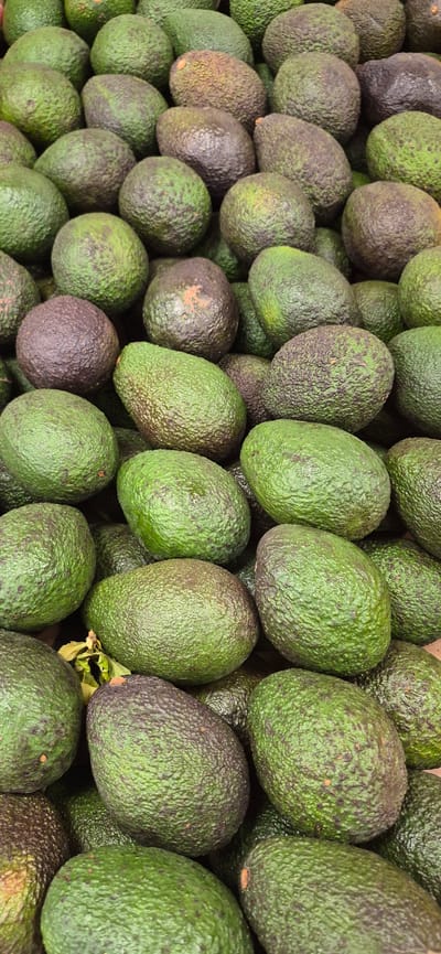 A close-up, overhead, full-frame shot displays a large pile of ripe avocados. The fruits are densely packed, creating a textured surface with varying shades of green and dark purple. Some avocados exhibit a rough, bumpy skin, characteristic of Hass avocados, while others appear smoother. The lighting is consistent, casting soft shadows that highlight the contours of the fruit. No people, actions, or interactions are visible. The context of Navalcarnero, Spain is not evident from the image itself, as it solely focuses on the produce.