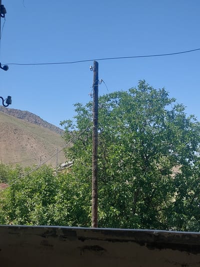 The image depicts an outdoor scene in Areni, Armenia, with a clear blue sky. In the foreground, a low, rough concrete structure is visible. Behind this, a dense green tree with abundant foliage dominates the mid-ground, partially obscuring a hillside in the background. A weathered wooden utility pole stands prominently in the center, with wires and insulators attached. Several other utility poles and wires are visible in the distance, suggesting infrastructure in the area. The hillside is dry and barren, with evidence of paths or erosion marks. The overall impression is of a rural or semi-rural setting under bright daylight.