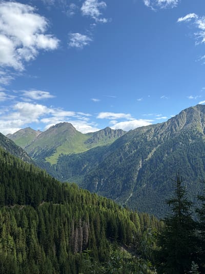 A panoramic, high-angle shot captures a lush, verdant mountain landscape under a bright blue sky dotted with fluffy white clouds. The foreground is dominated by a dense forest of dark green coniferous trees, their branches reaching upwards. The trees extend across the lower left portion of the frame and up the steep slopes of the mountains. In the mid-ground, the mountains rise dramatically, their peaks softened by a carpet of green grass and scattered trees. The slopes are etched with ravines and shadowed valleys. A thin white contrail is visible in the upper sky. The image depicts a natural, mountainous environment, likely in the region of Mühlbach - Rio di Pusteria, Italy, characterized by its evergreen forests and rugged peaks. There are no people or man-made structures visible in the scene.